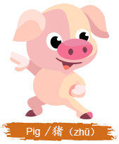 Pig